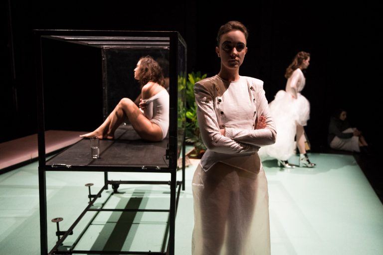 Šepoty a výkřiky - sepoty-a-vykriky-baresova