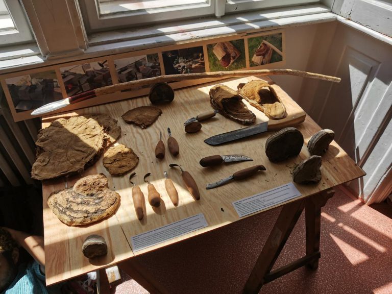 Hubkaření - výrobky z choroše - hubkareni-vyrobky-z-troudnatce