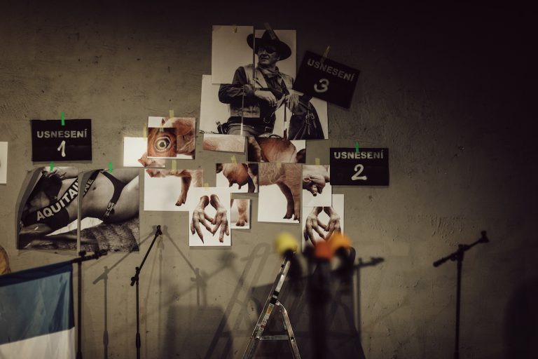 (foto: Tereza Veselá) - pigboy-terezavesela3