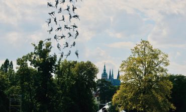 2_pocta-novému-cirkusu_aquanauts_©františek-ortmann