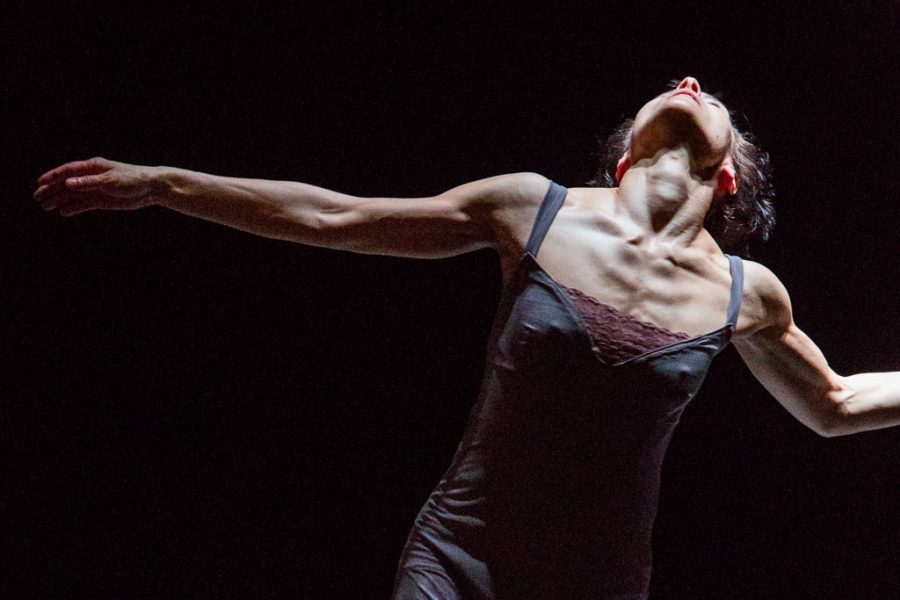 LVC_LaLoba_David-Musil_02